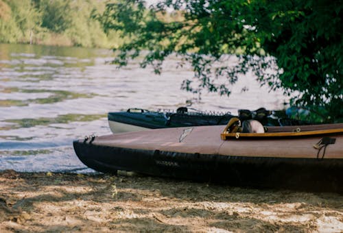 Two Kayaks under a Tree by the River 