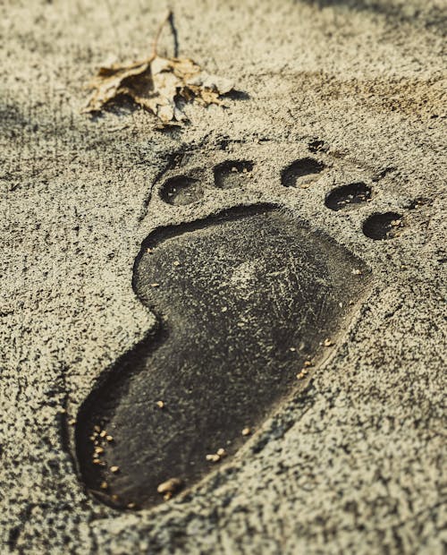 Black Heart on Brown Sand