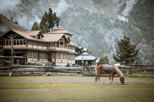 Free A brown horse grazes near a traditional house in Gilgit, surrounded by mountains. Stock Photo