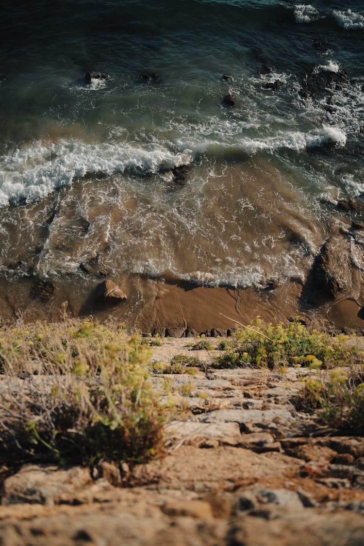 Sea And Coastline Landscape