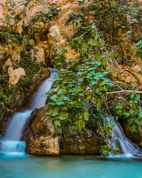 Calm waterfall cascading over rocks, surrounded by vibrant greenery in a tranquil forest setting.