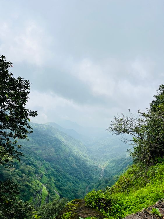 Green Trees on Mountain Under White Clouds · Free Stock Photo