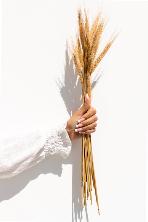 Woman Holding Dried Wheat Grass
