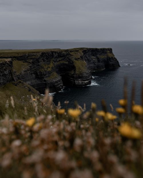 Free Breathtaking view of rugged cliffs meeting the ocean as wildflowers bloom in the foreground. Stock Photo