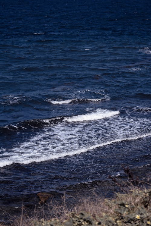grátis Foto profissional grátis de água salgada, mar, natureza Foto profissional