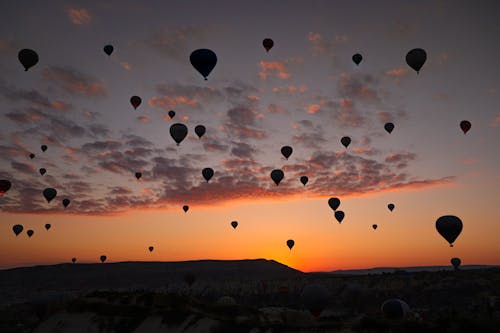 Silhouette of Hot Air Balloons during Sunset