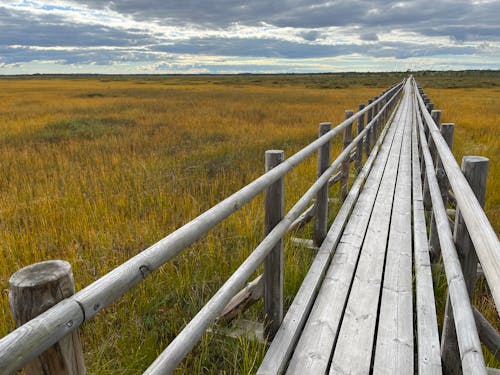 Brown Wooden Bridge on Green Grass Field Under White Clouds