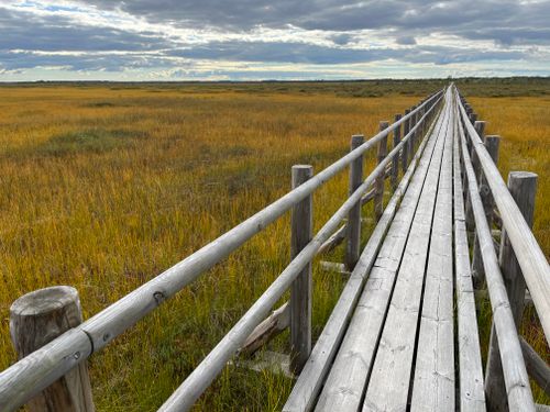 Free Experience tranquility along a scenic wooden boardwalk stretching over expansive grasslands beneath a cloudy sky. Stock Photo