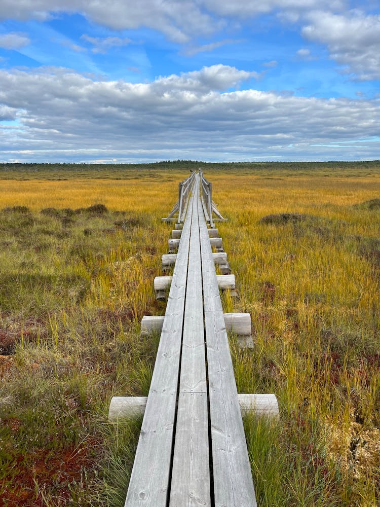 Wooden Pathway On Grass Field