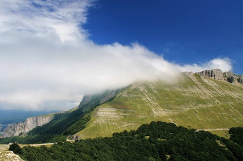 Immagine gratuita di cielo azzurro, erba, esterno