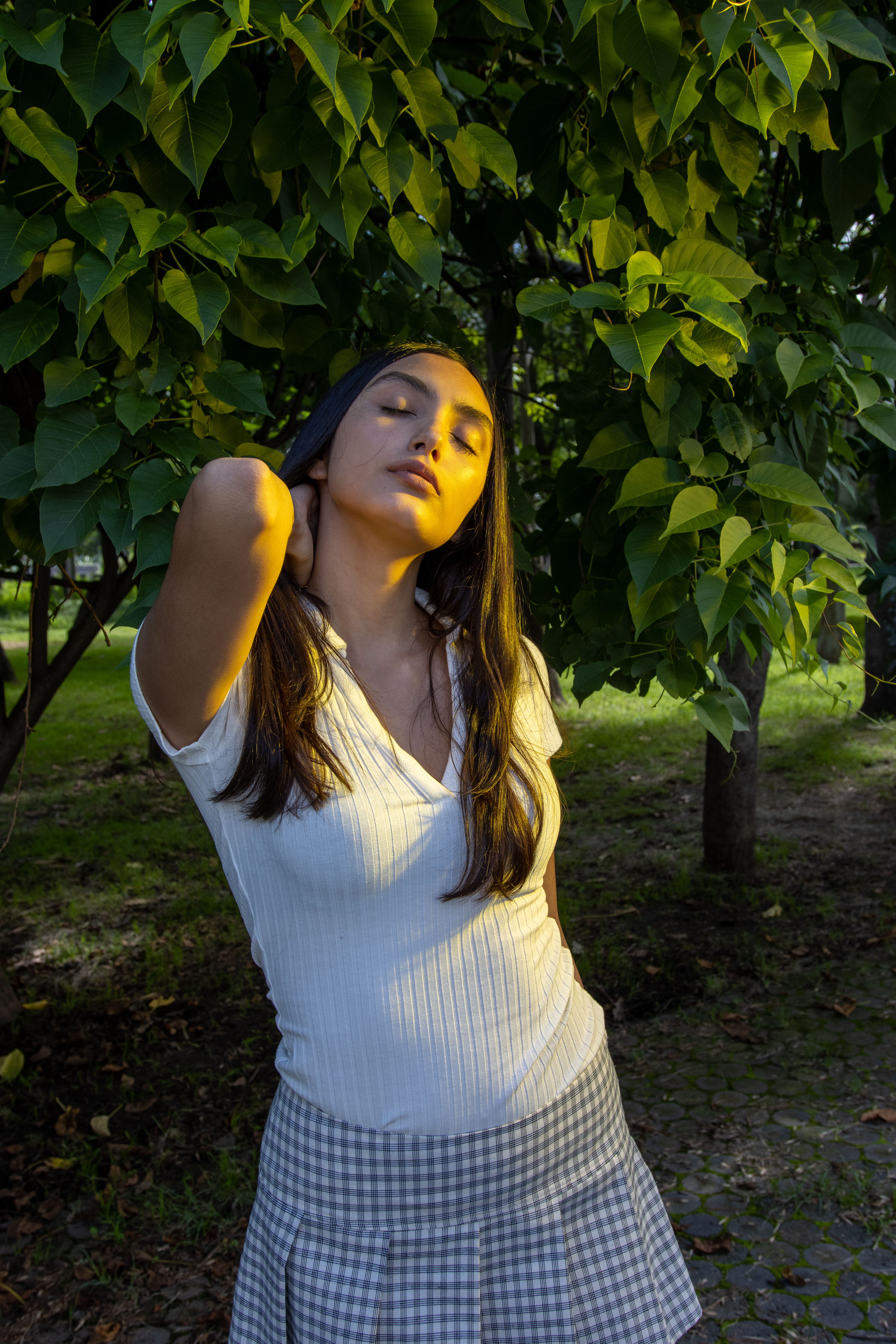 Woman Posing Under a Tree · Free Stock Photo