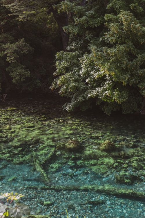 Free Scenic view of clear waters and lush trees in San Carlos de Bariloche, Argentina. Stock Photo