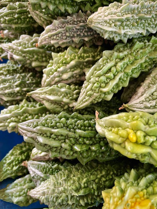 ampalaya, dikey atış, Gıda içeren Ücretsiz stok fotoğraf