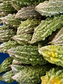 Ampalaya (Bitter Gourd)