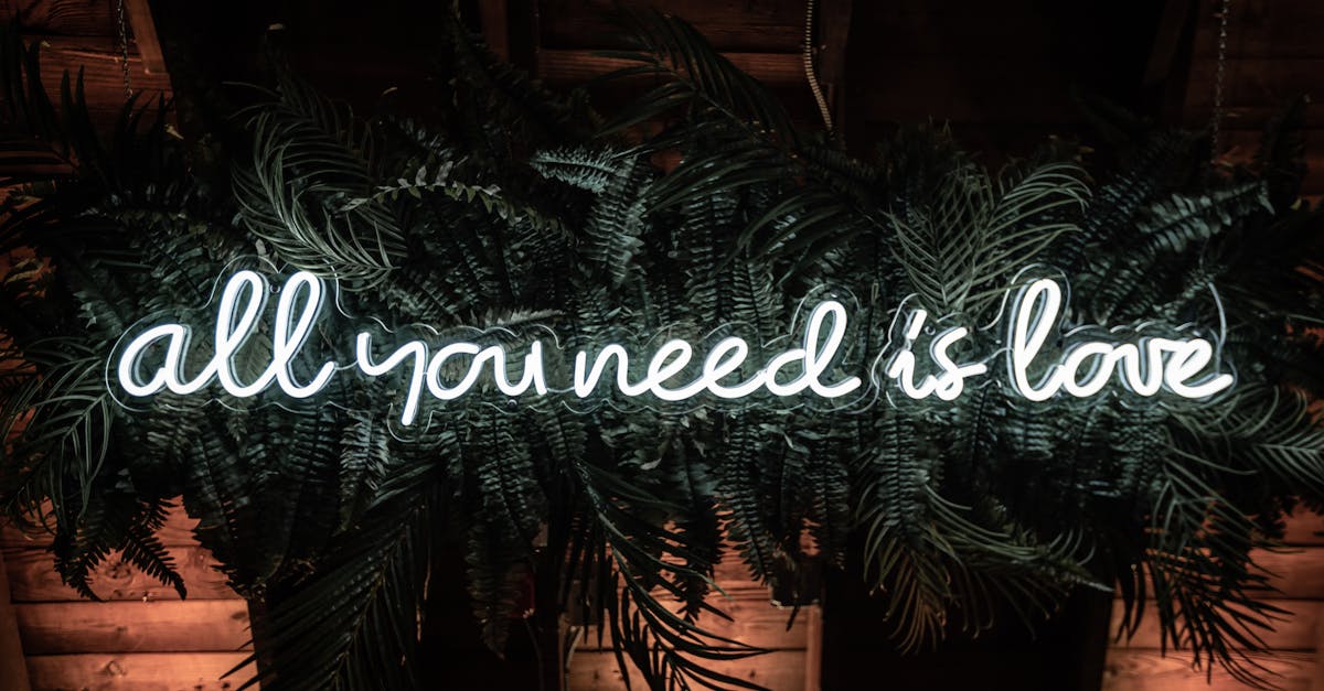 A vibrant neon sign stating 'All You Need is Love' surrounded by lush green leaves.