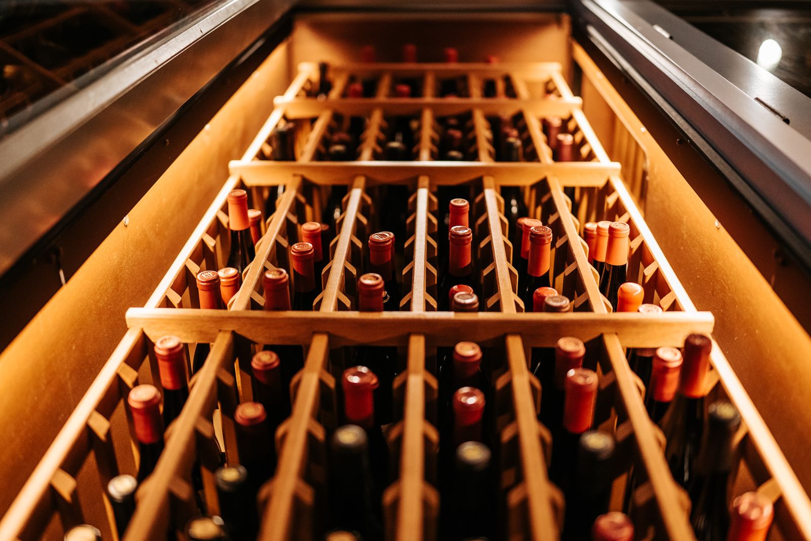 How to Read a Spanish Wine Label: 4 Colors and 12 Words
