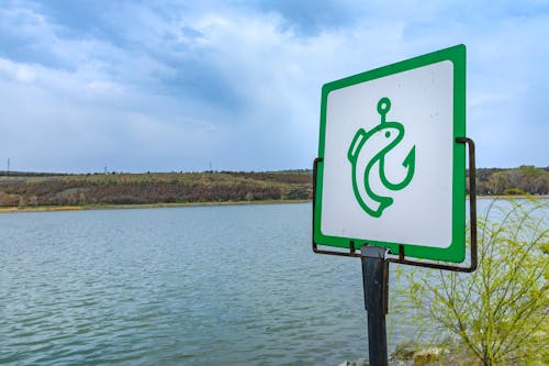 Green and White Signage near Body of Water