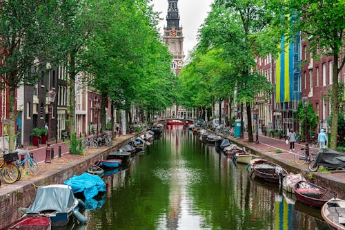 Foto profissional grátis de Amsterdã, árvores, barcos