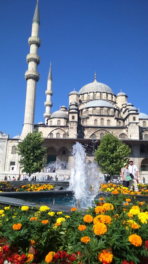 伊斯坦堡, 清真寺, 黃色 的 免费素材图片