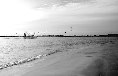 Grayscale Photo of Boat on Sea