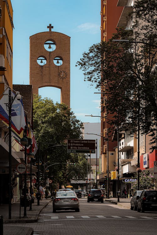 Fotos de stock gratuitas de al aire libre, arboles, calle