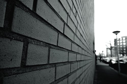 거리 벽의 회색조 사진