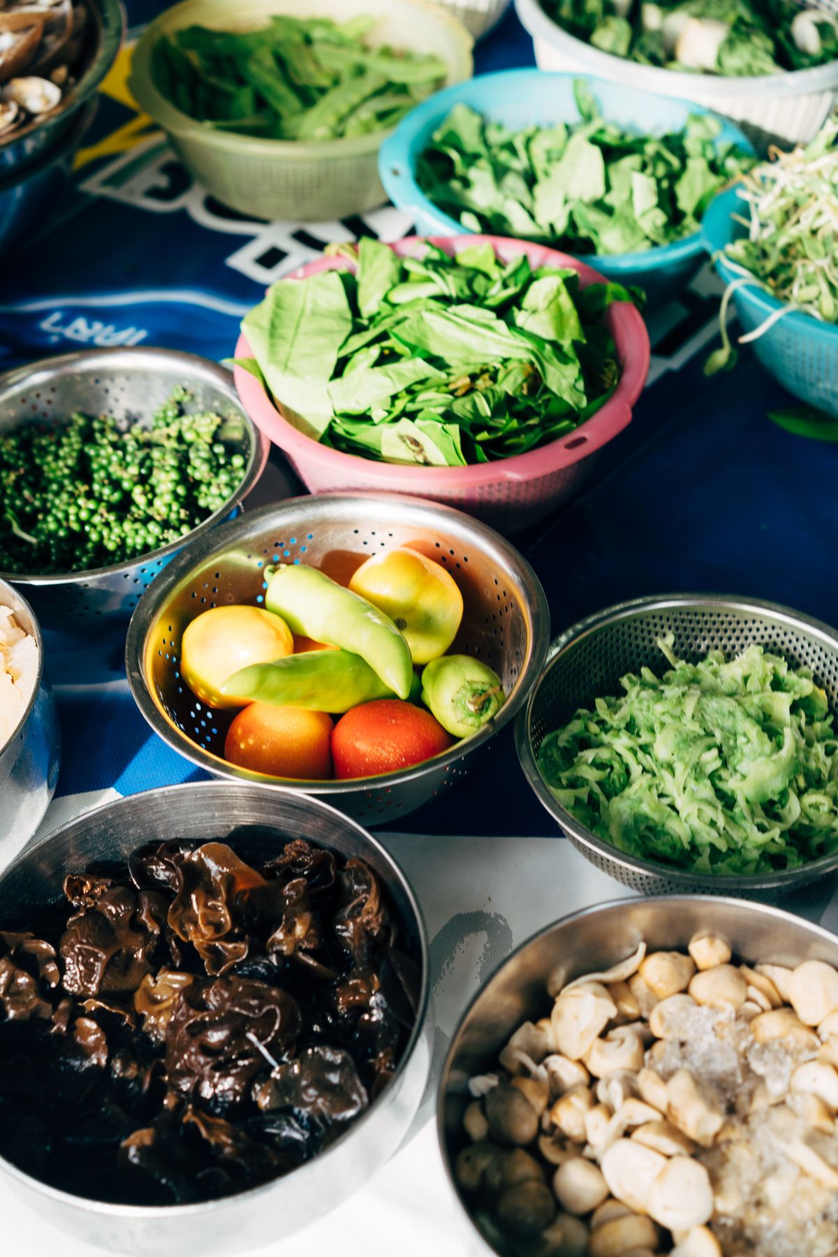 Calcium & Phosphorus in Homemade Pet Food: How to Get the Ratio Right