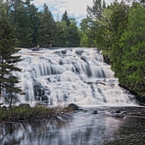 Waterfalls in the Middle of Green Trees