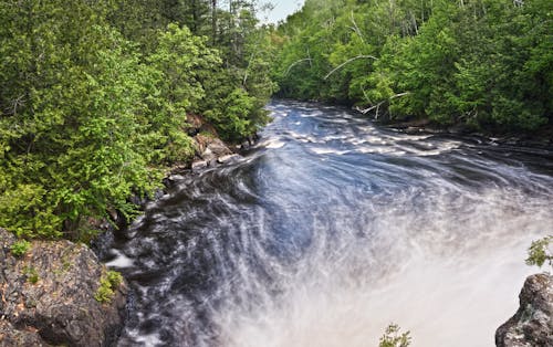Free stock photo of flow, flowing river, forest Stock Photo