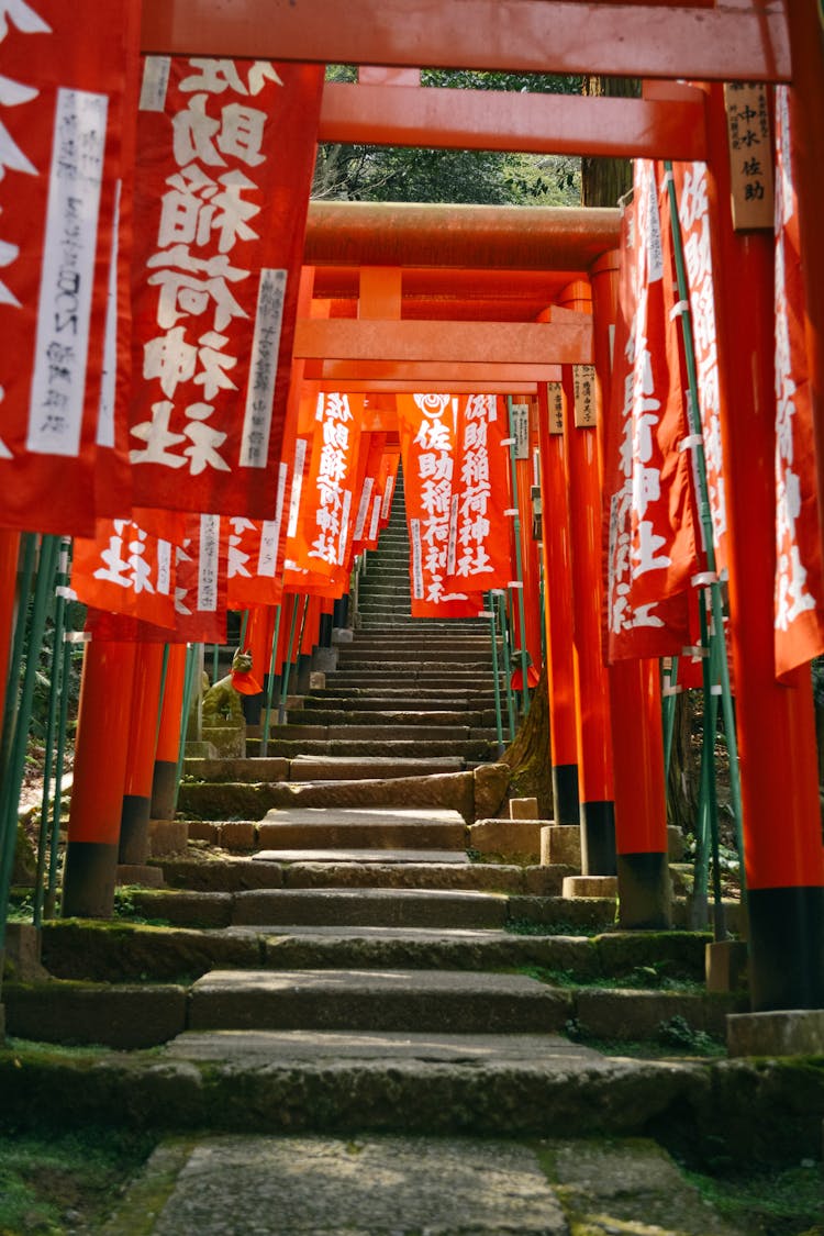 Stairs In Tori Gates Shrine