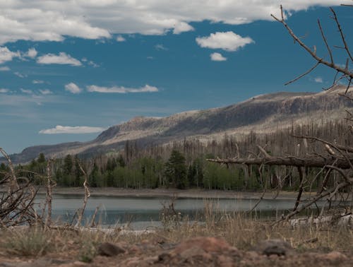 Základová fotografie zdarma na téma fotografie přírody, jezero, krajinné fotografie