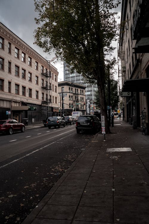 Foto profissional grátis de fotografia de rua, Portland, rua da cidade