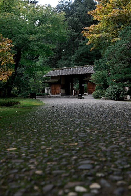 Foto profissional grátis de árvores verdes, estética japonesa, jardim japonês