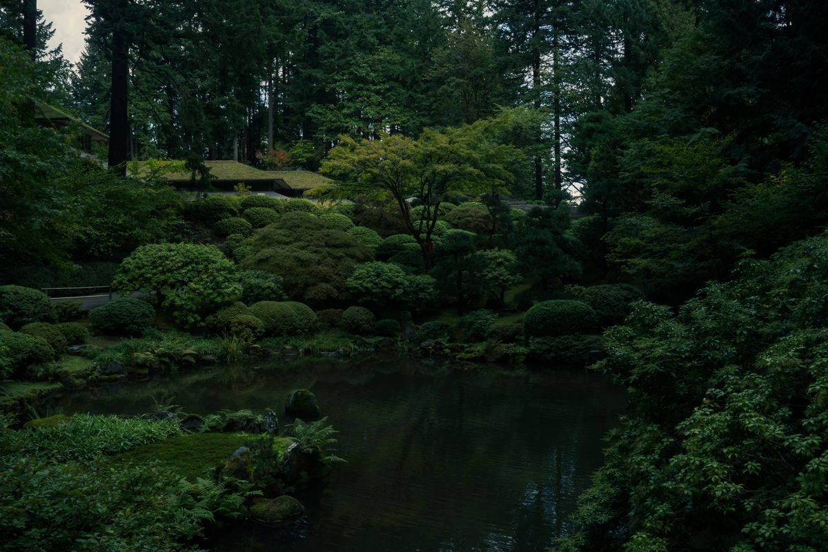 Gartenteich anlegen und pflegen: naturnaher Teich im Garten