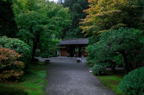 Foto profissional grátis de árvores verdes, estética japonesa, jardim japonês