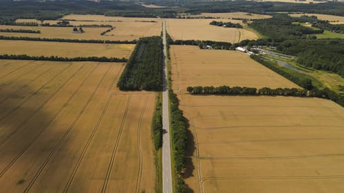 A Road in the Middle of Agricultural Land