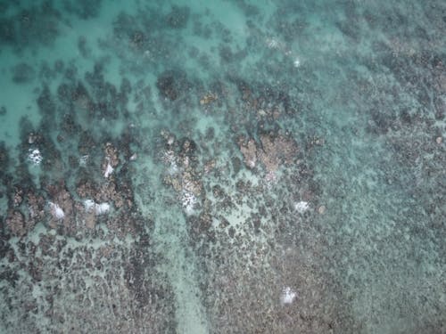 deniz, deniz kıyısı, drone çekimi içeren Ücretsiz stok fotoğraf