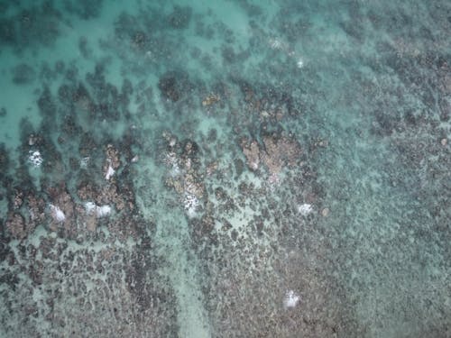 An Aerial Shot of a Rocky Shore