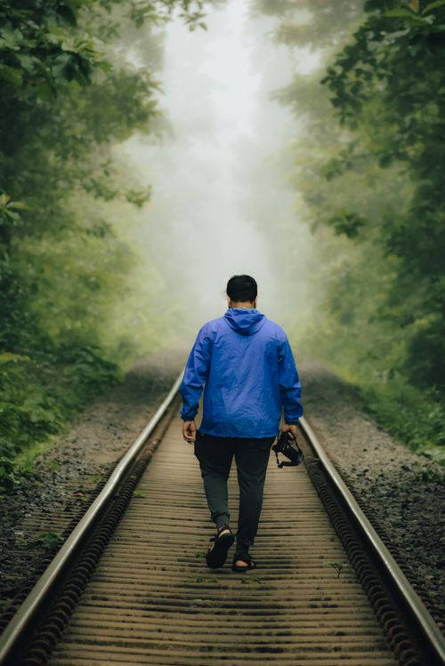 Free A man in a blue hoodie walks down railway tracks surrounded by lush green trees in a misty forest. Stock Photo