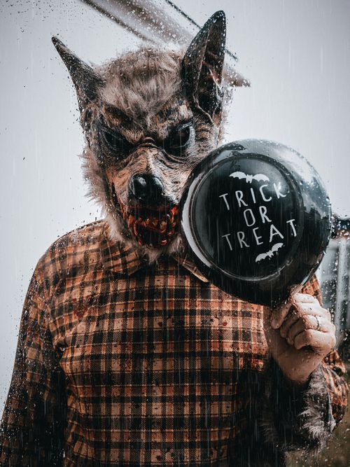 Free Realistic wolf mask with trick or treat sign for a spooky Halloween vibe. Stock Photo