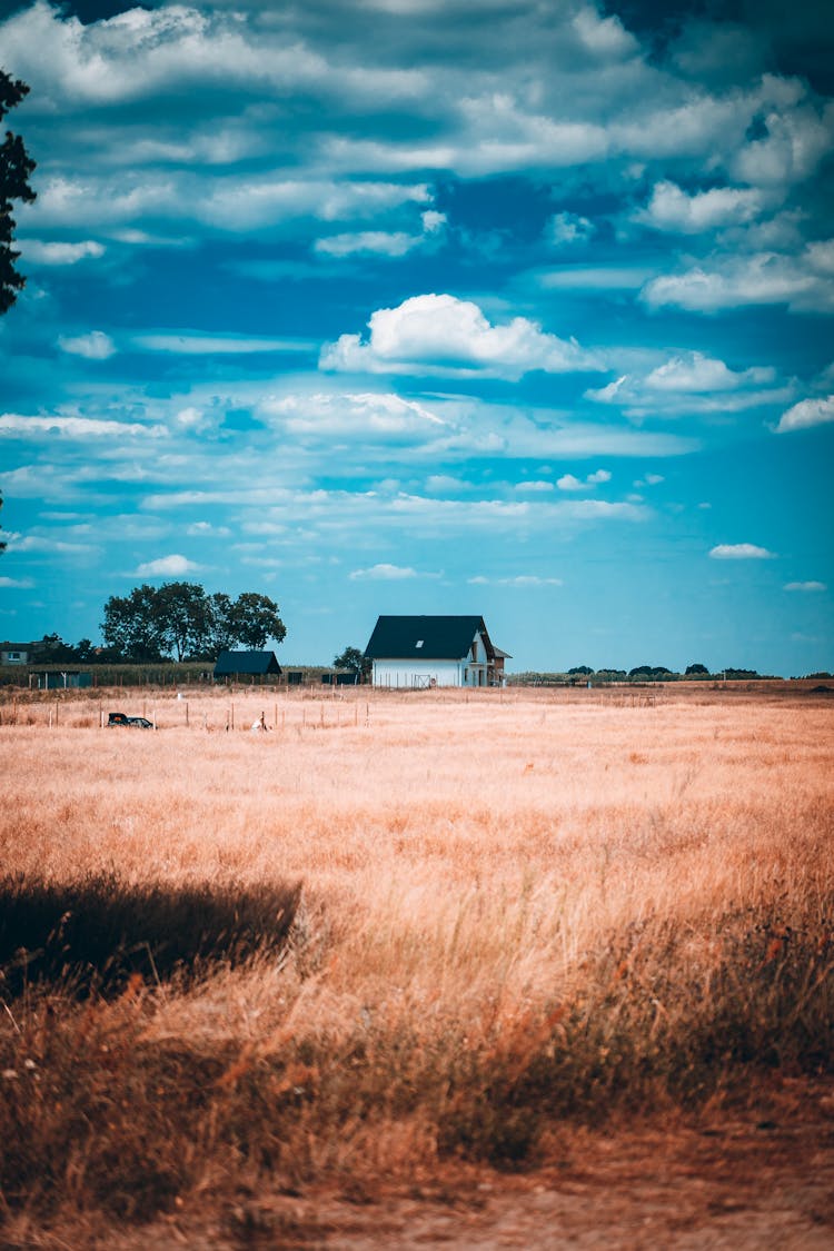 A House In The Countryside