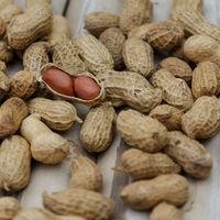 Raw peanuts a niacin-rich food
