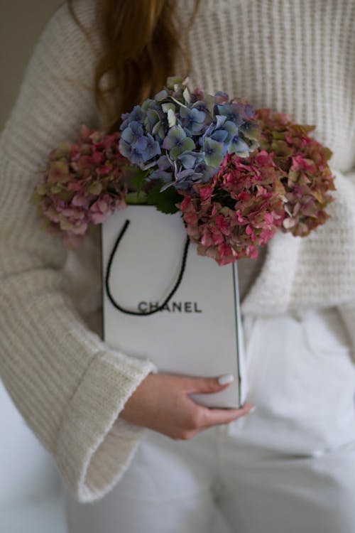 꽃, 브랜드, 샤넬의 무료 스톡 사진