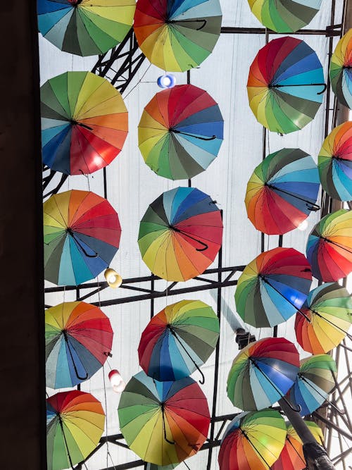 Multi Colored Umbrellas on the Ceiling