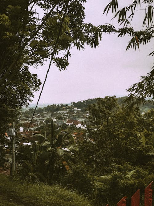 Rural Landscape in Indonesia