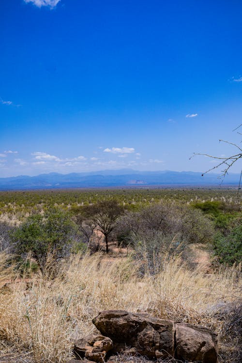 A Scenic Landscape under a Clear Blue Sky