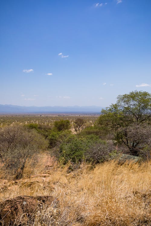 A Scenic Outdoor Landscape