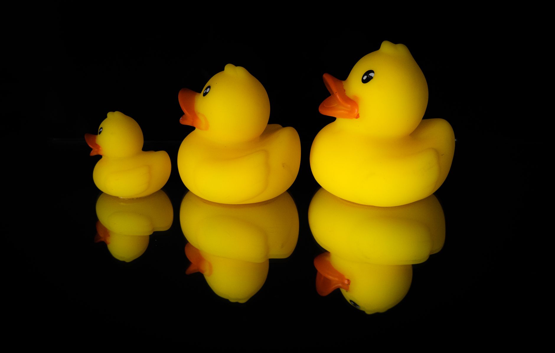Three rubber ducks displayed with reflection on a black surface.