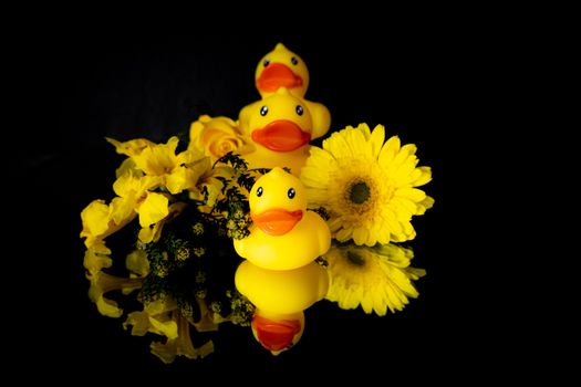 Vivid yellow rubber ducks with bright yellow flowers, reflecting on a glossy surface.