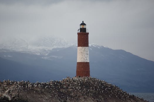 Ushuaia, Argentina photo 6